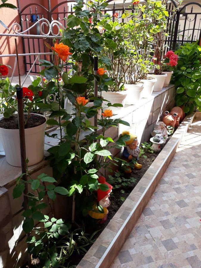Guest House Yanina Sozopol Esterno foto